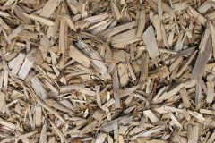 biomass boilers Atrim
